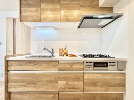 �L�b�`���@�������������I�ɁA�y�����I�V�X�e���L�b�`��  