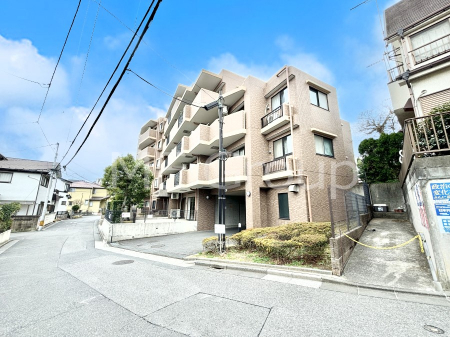 nOώʐ^@Ƃ肪Ί𐶂ސSn悢 