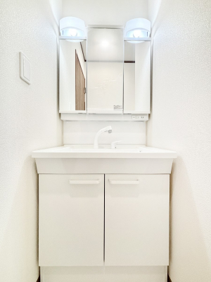 ���ʑ�E���ʏ��@�X�^�C�����O�ɕ֗��ȎO�ʋ��A�~���[�L���r�l�b�g�ōׂ������X�b�L��