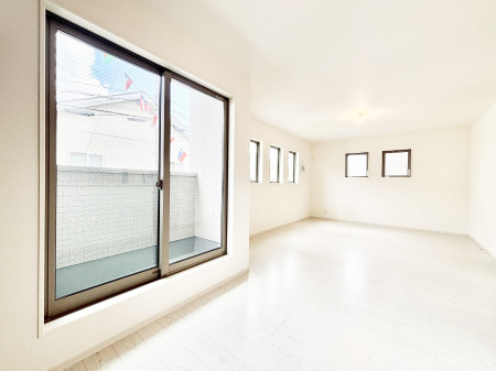 rO@傫ȑ炽Ղ̗zƕ郊rO