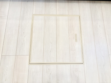 ���̑����ρ@�������[�t���I���p�i�E���p�i�̎��[�ɂ��劈��B