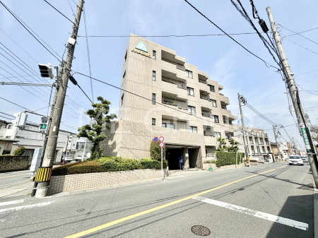 ���n�O�ώʐ^�@��������n�܂�V�����������������܂��I