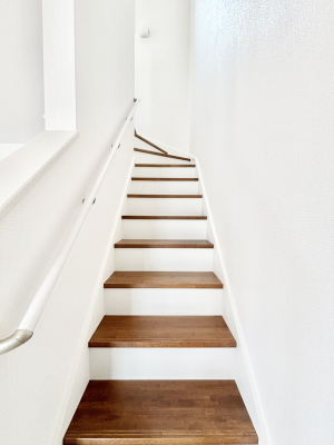 ̑@Ki͎肷tȂ̂ŏȂq܂₲̕Sł