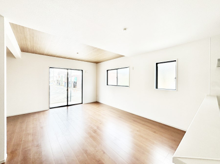 rO@傫ȑ炽Ղ̗zƕ郊rO