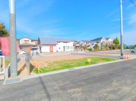 ���n�y�n�ʐ^�@-