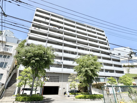 nOώʐ^@Ƃ肪Ί𐶂ސSn悢 