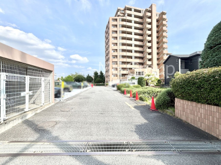 ���n�O�ώʐ^�@����z���ł��Ƒ��̏Ί���P�� 