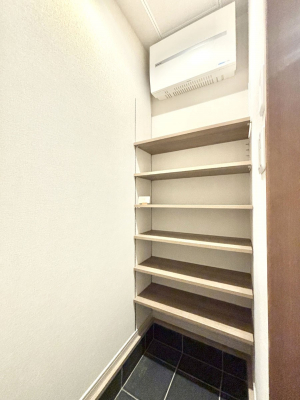 ̑ρ@V[YCN[NtIJxr[J[u܂B   