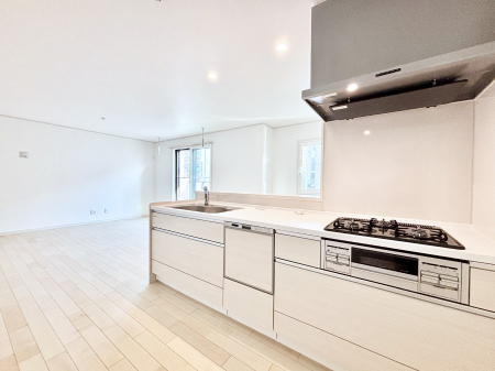 �L�b�`���@�������������I�ɁA�y�����I�V�X�e���L�b�`��  