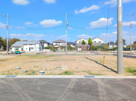 ���n�y�n�ʐ^�@-