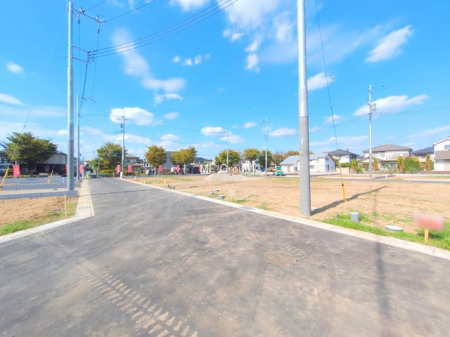 ���n�y�n�ʐ^�@-