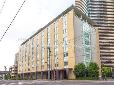 ӊ@a@ 2340m Ғa@̗t