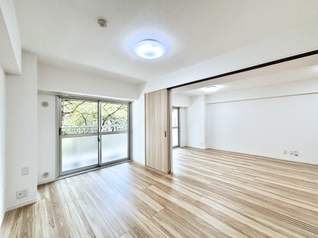 ̑ρ@rOאڂ̗m͌ƂĂpł܂  