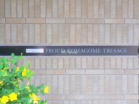 �G���g�����X�@-