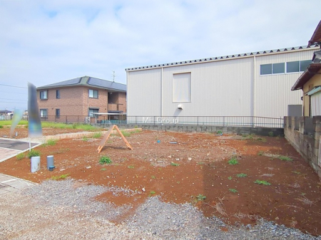 ���n�y�n�ʐ^�@-