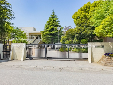 ���ӊ��@���w�Z 580m �t�����s���㉫���w�Z