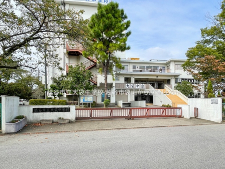 ӊ@wZ 1440m zJsܒwZ