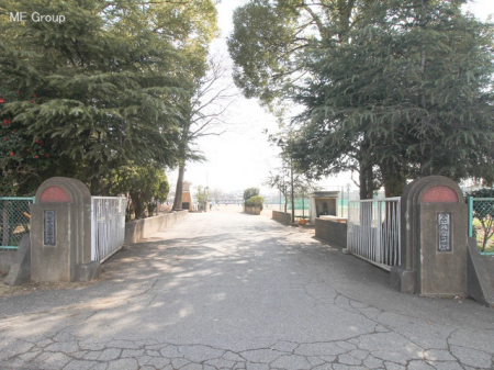 ӊ@wZ 790m csꒆwZ