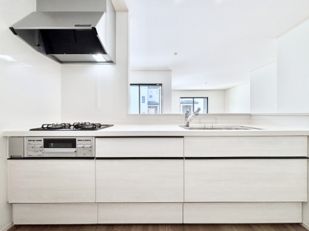 Lb`@VXeLb`̓VvŃXbLO̗ȂfUCȂ̂ŉigI