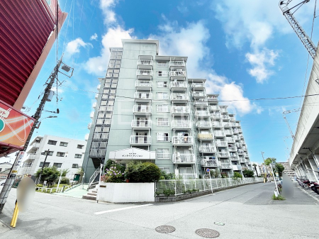 nOώʐ^@Ƃ肪Ί𐶂ސSn悢