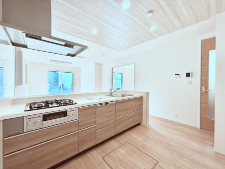 �L�b�`���@�J�E���^�[�z���Ɋy����������ׂ�B�����̂������������Ɣ��������Ȃ肻���ł��ˁB 