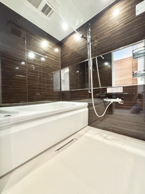 �����@����̔�������Ă���閾�邢�������̂���o�X���[��  