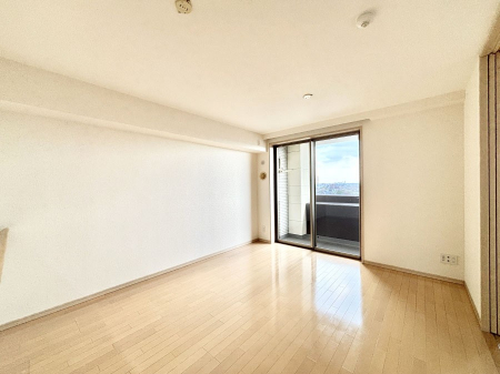 rO@傫ȑ炽Ղ̗zƕ郊rO  