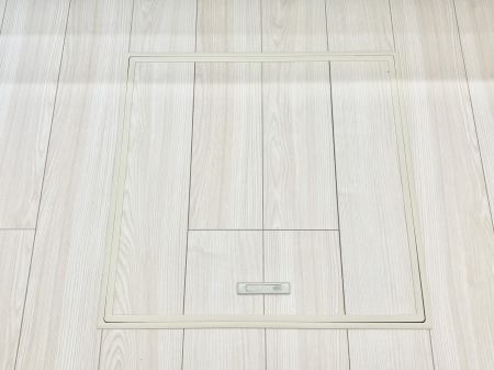 ���̑����ρ@�������[�t���I���p�i�E���p�i�̎��[�ɂ��劈��B