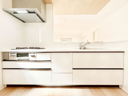 Lb`@VXeLb`̓VvŃXbLO̗ȂfUCȂ̂ŉigI