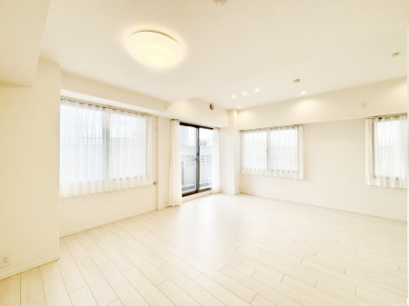 rO@傫ȑ炽Ղ̗zƕ郊rO