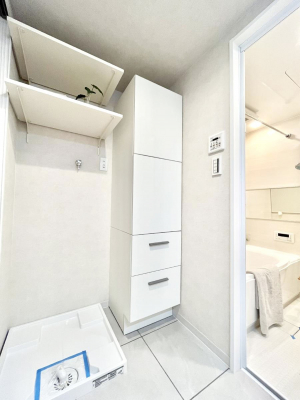 ̑ρ@֗ȃlɂŁAXbLg₷ʎ  