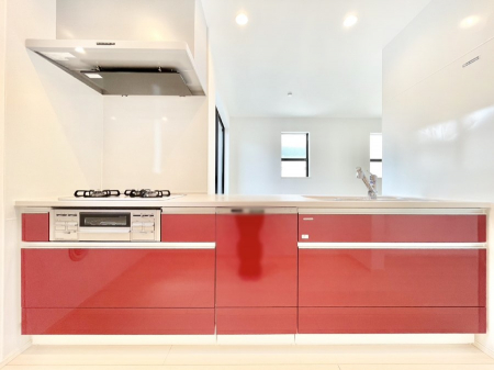 Lb`@H@E򐅊ERcRȂǃfUC@\˔VXeLb`I