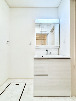 ʑEʏ@傫₷OʋŐʑ́AgȂ݃`FbN┧̂ɂ߂łB 