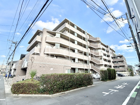 nOώʐ^@Ƃ肪Ί𐶂ސSn悢