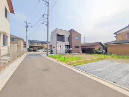 ���n�y�n�ʐ^�@-