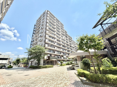 nOώʐ^@Ƃ肪Ί𐶂ސSn悢   