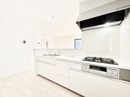 �L�b�`���@��Ƃ肠��L�b�`���X�y�[�X�ł�������H��̌�ЂÂ����X���[�Y�ɁI