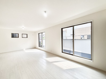 rO@傫ȑ炽Ղ̗zƕ郊rO