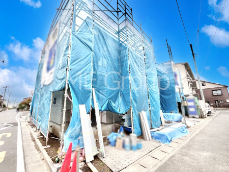 nOώʐ^@Ƃ肪Ί𐶂ސSn悢 