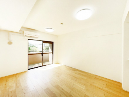 rO@傫ȑ炽Ղ̗zƕ郊rO