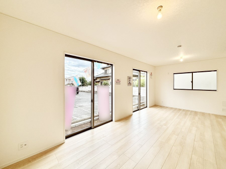 rO@傫ȑ炽Ղ̗zƕ郊rO