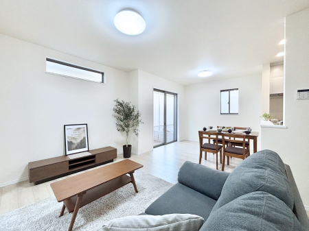 rO@傫ȑ炽Ղ̗zƕ郊rO