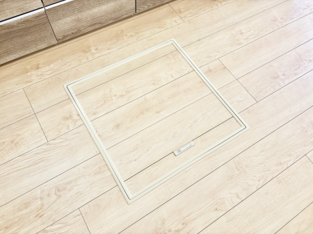 ���̑����ρ@�������[�t���I���p�i�E���p�i�̎��[�ɂ��劈��B