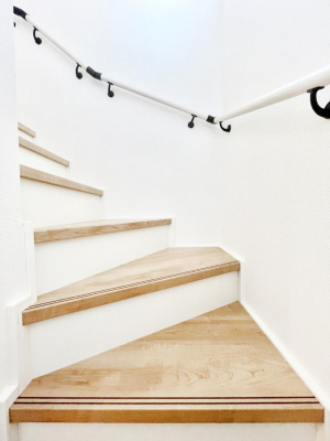 ̑@Ȃql₲Nz̕ɊzIKiɂ͎萠tłB