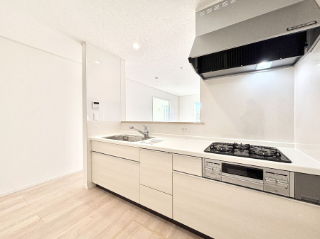 �L�b�`���@�������������I�ɁA�y�����I�V�X�e���L�b�`��  