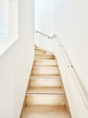 ���̑��@�K�i�͎肷��t���Ȃ̂ŏ����Ȃ��q���܂₲����̕������S�ł�