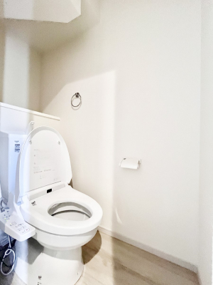 �g�C���@�g�C���͉������@�\�t��