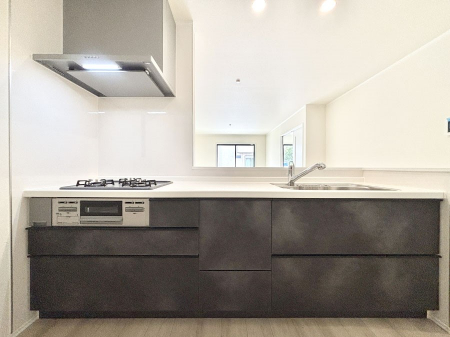 �L�b�`���@�������������I�ɁA�y�����I�V�X�e���L�b�`��  