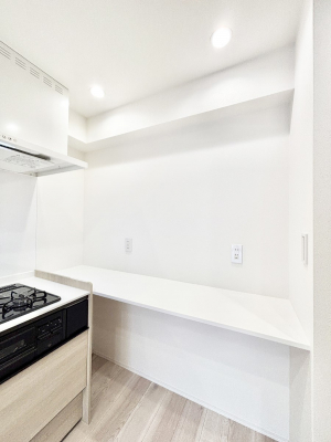 ���̑����ρ@�֗��ȃJ�E�E���^�[�t�ŁA�X�b�L�������g���₷���L�b�`���ɁI