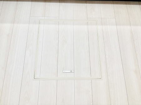 ���̑����ρ@�������[�t���I���p�i�E���p�i�̎��[�ɂ��劈��B